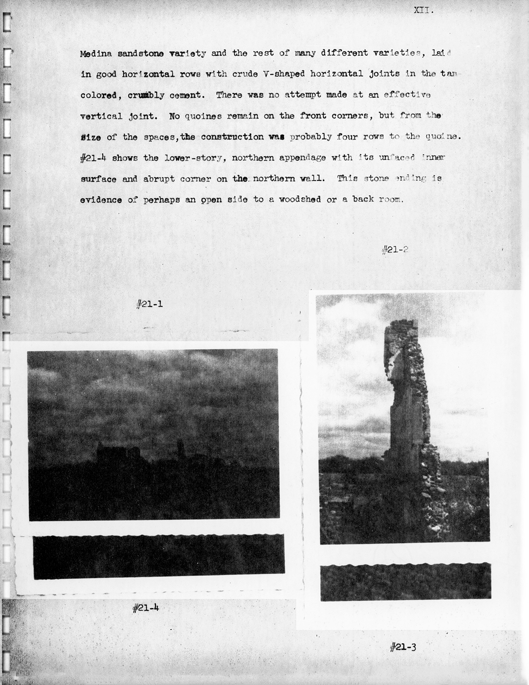 Wood Survey P12 19550618
